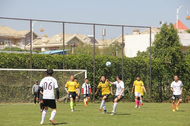 塔图姆33+13米切尔33分 凯尔特人力克骑士2-1